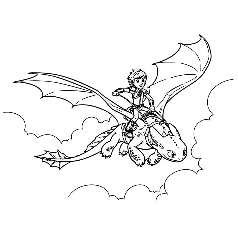 toothless and hiccup ridding together