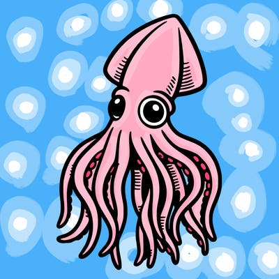 squid