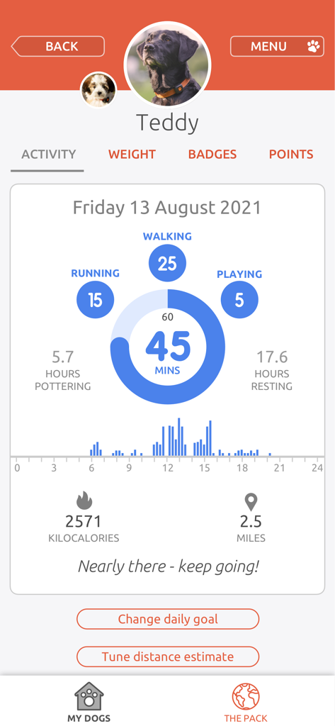 PitPat mobile app activity tracking screen showing minutes of walking, running, and playing for a dog named Teddy.