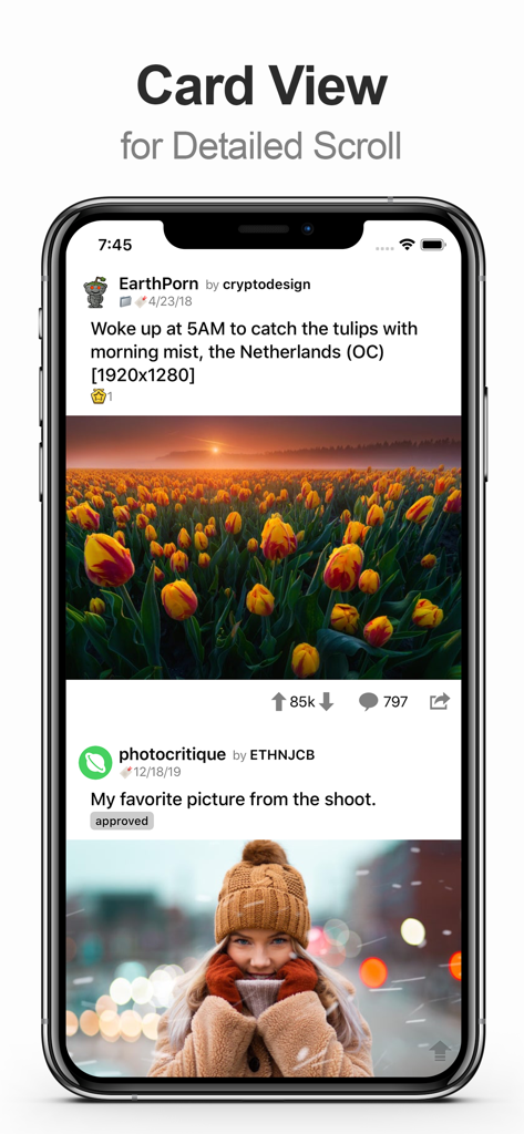 Screenshot of MultiTab for Reddit showing the Card View for detailed scrolling through posts.