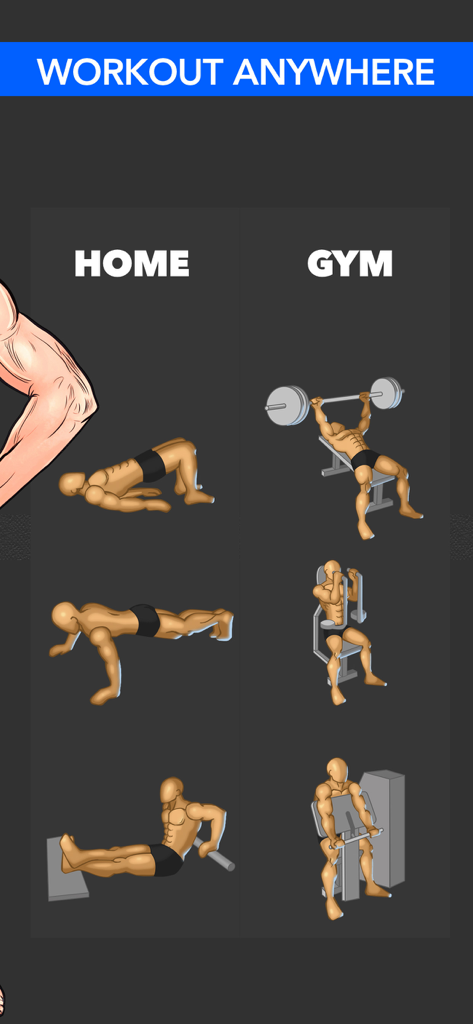 Vergleich von Übungsdemonstrationen für zu Hause und im Fitnessstudio innerhalb der Fitzy Fitness App