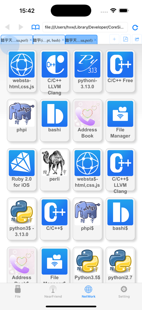 File Manager$ - A grid of icons for programming languages and utility tools including Python, C++, and PHP within the File Manager app network interface.