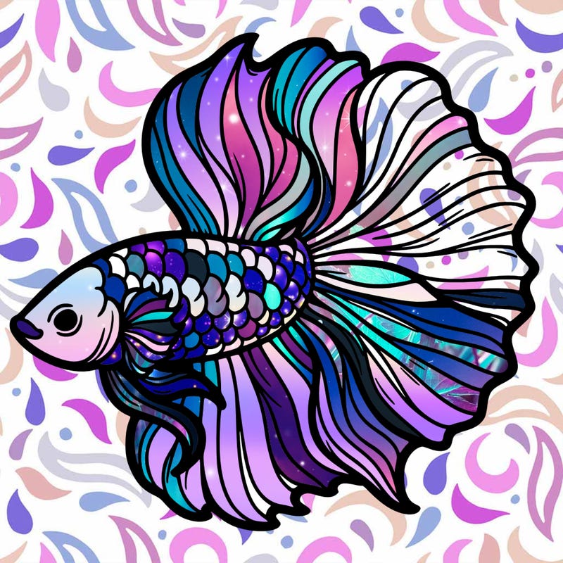 betta fish