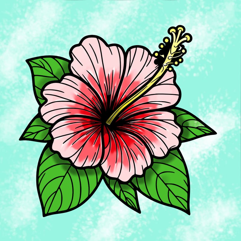 hibiscus flower