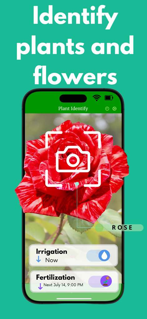 Plantsnap Plant Identifier - A smartphone screen using Plantsnap to identify a red rose with integrated plant care reminders