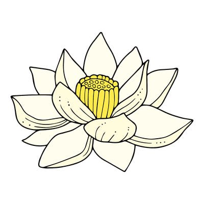 flowers_08