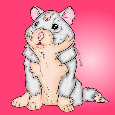 animals_59