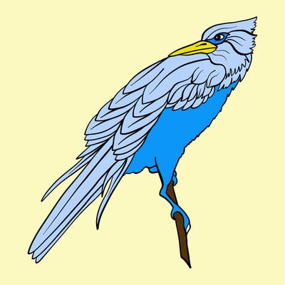 animals_63