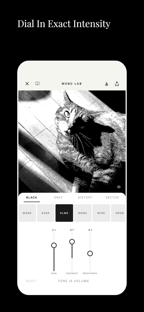 Mono Lab - Mono Lab app interface editing a black and white cat photo with intensity sliders for gain contrast and brightness