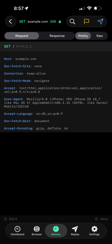 Mitmo - Mobile interface of Mitmo showing detailed HTTP request headers and proxy history