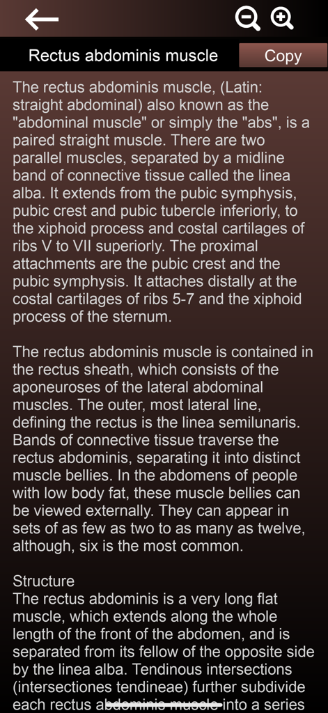 Descrição anatômica detalhada do músculo reto abdominal dentro do aplicativo Sistema Muscular 3D