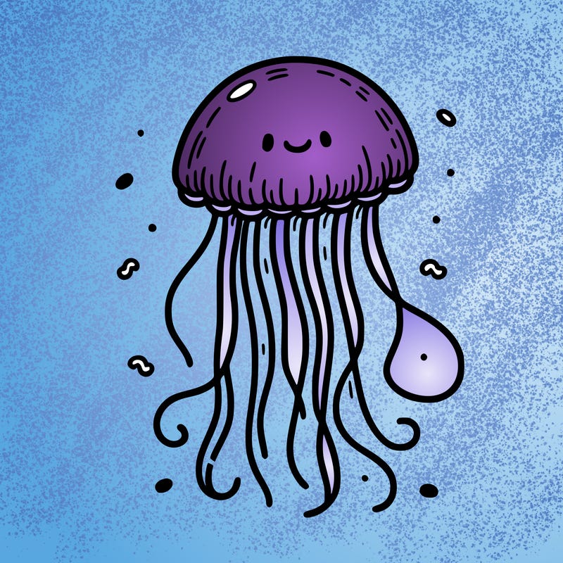jellyfish