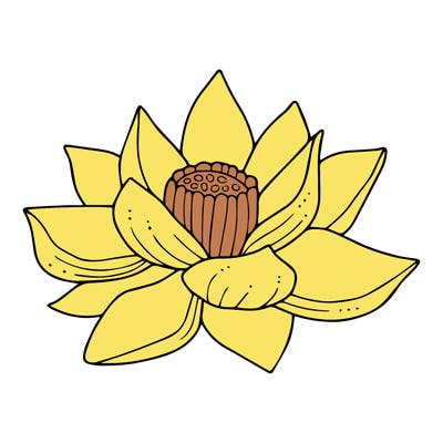 flowers_08