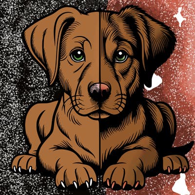 realistic dog split picture