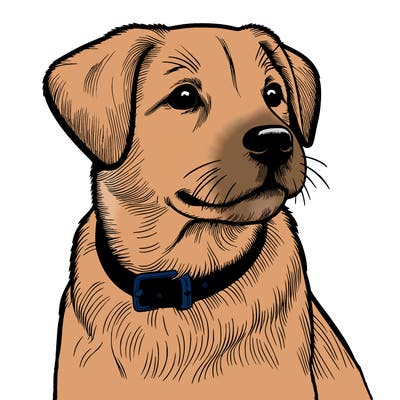 dog realistic