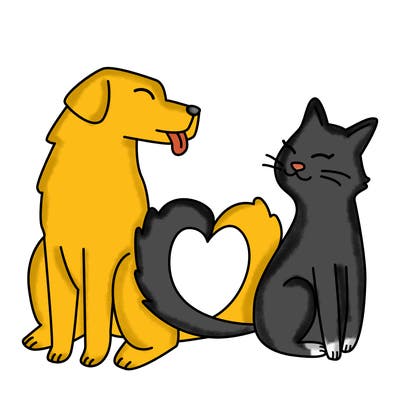 animals_22