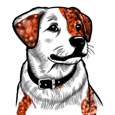 dog realistic