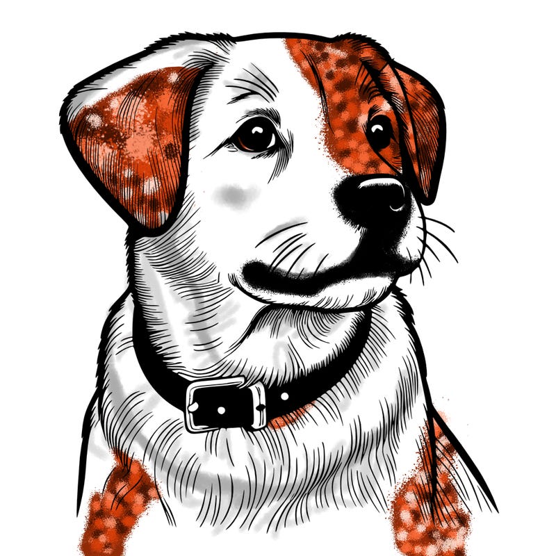 dog realistic