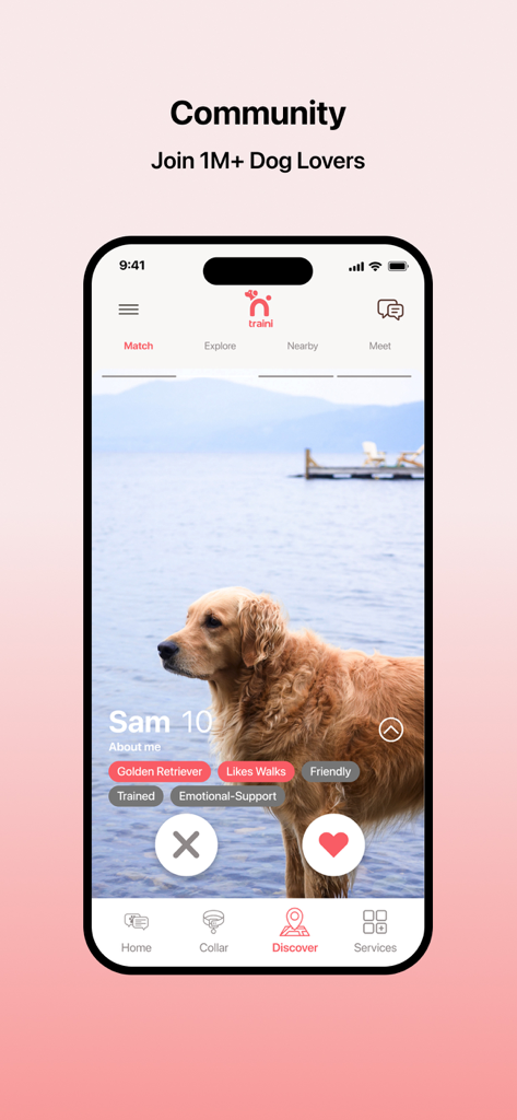 Una interfaz de aplicación móvil que muestra una función de emparejamiento comunitario para perros con el perfil de un golden retriever