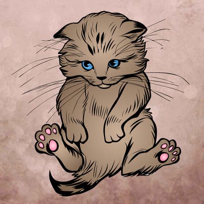 animals_20