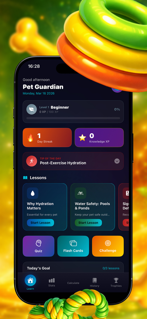 PetRoad-knowledge - The home screen of the PetRoad-knowledge app displaying pet hydration lessons and learning progress