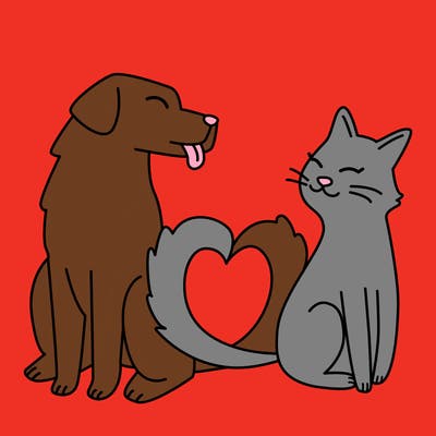 animals_22