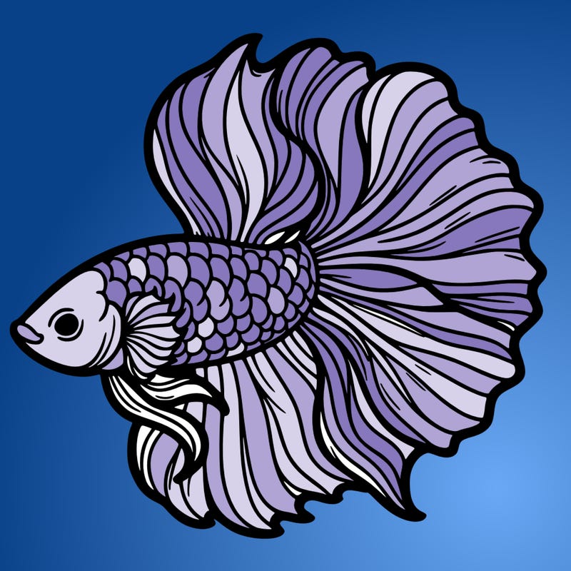 betta fish