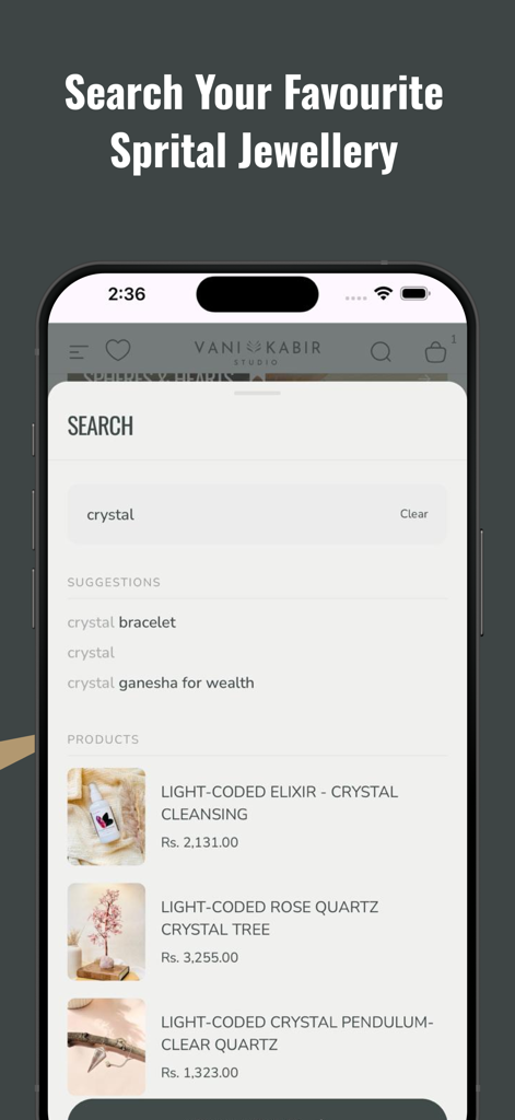 VANI KABIR STUDIO - Search screen of the Vani Kabir Studio app displaying crystal jewelry and spiritual growth product results.