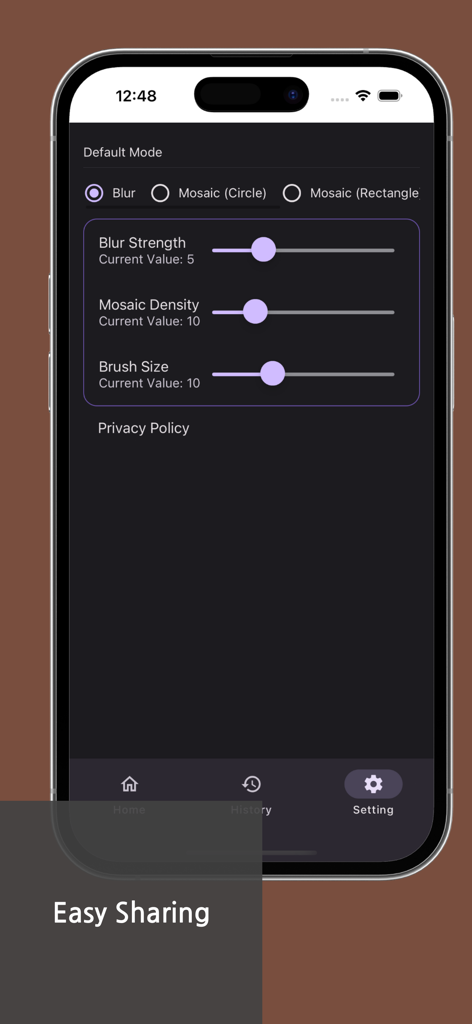 Blur & Mosaic - Auto Face blur - Écran des paramètres de l'application Flou et Mosaïque présentant des curseurs réglables pour la force du flou et la densité de la mosaïque.