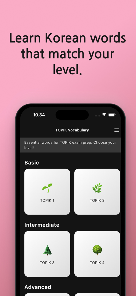 Master TOPIK Voca: Korean Town - 基本および中級カテゴリを含む、TOPIK試験準備のための韓国語語彙レベルが表示されているモバイルアプリ画面。
