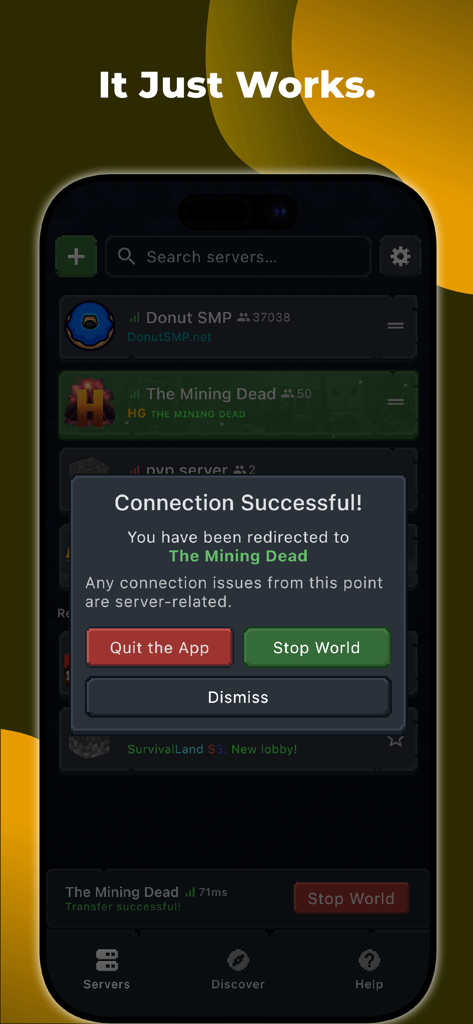 Bedrock Online - A screenshot of the Bedrock Online app displaying a successful connection message to a custom Minecraft server.