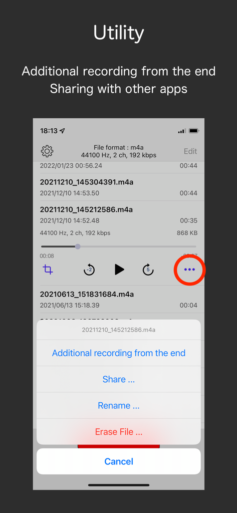 Audio Recorder - WAV, M4A - Interface showing audio file utility options like sharing and additional recording
