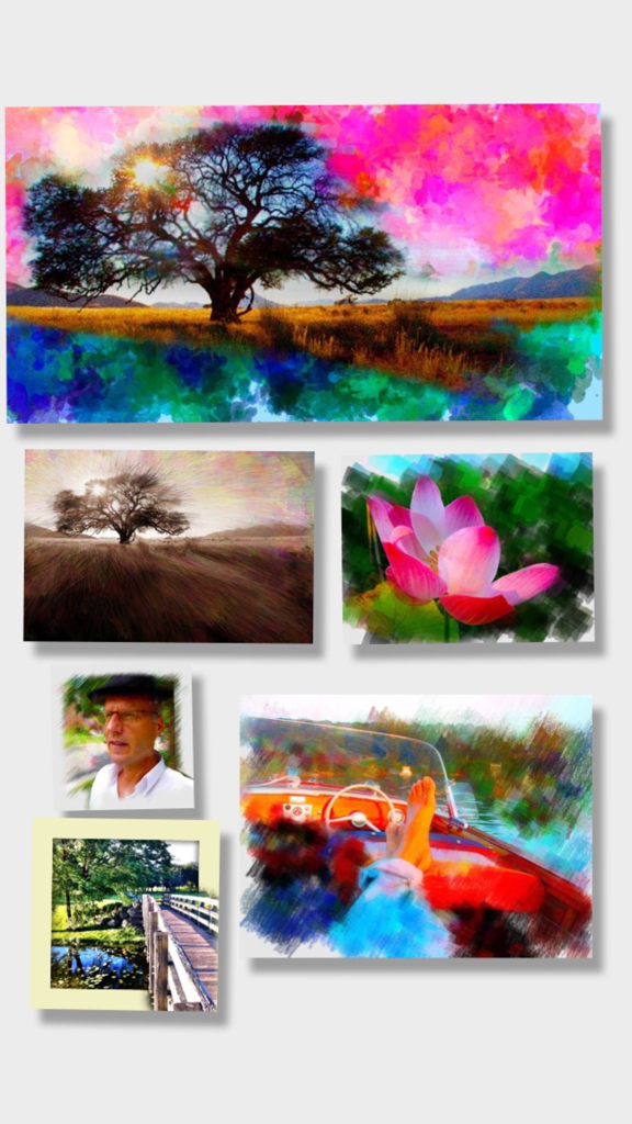 PhotoViva - Paintings from your photos! - A collage showing various photos transformed into digital paintings using different brush styles in the PhotoViva app.