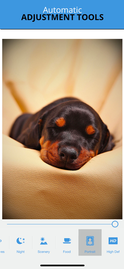 Photo Studio - Image Editor - Interfaz de herramientas de ajuste automático de fotos en la aplicación Photo Studio con el retrato de un cachorro