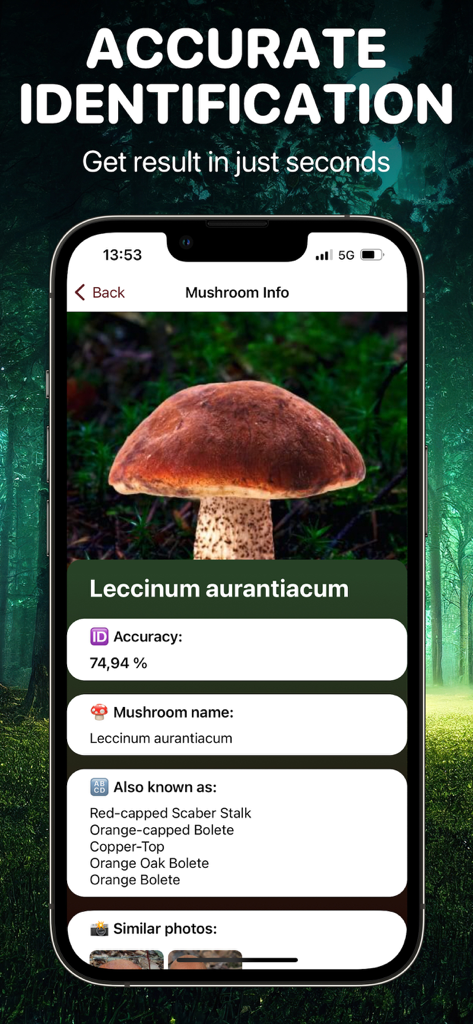 Un écran de smartphone affichant un résultat d'identification précis de champignon pour Leccinum aurantiacum dans l'application Mushroom Identifier.