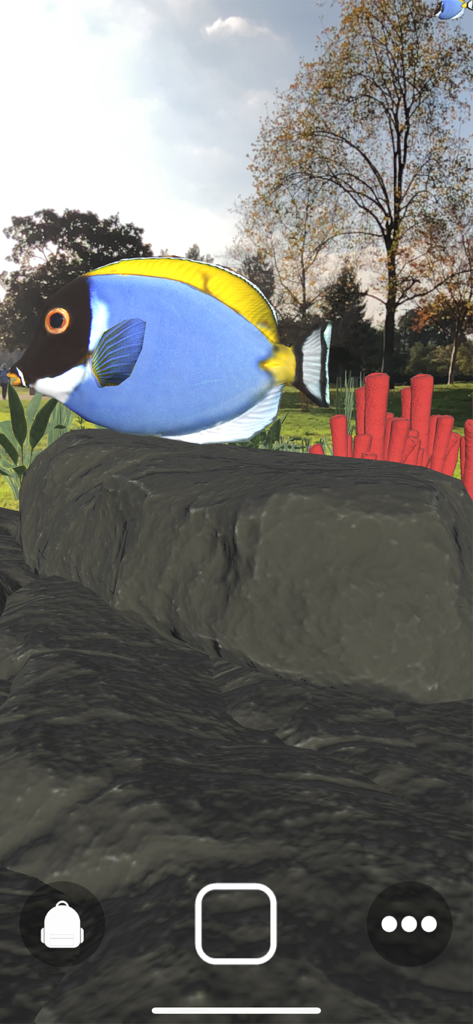 Magic Fish AR - Augmented reality view of a blue tang fish on a rock in a park