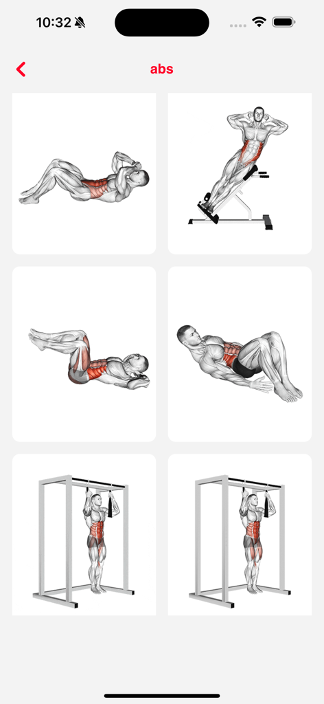 Fit Pro: Home & Gym Workouts - Una cuadrícula de ilustraciones anatómicas que muestran varios ejercicios de fortalecimiento abdominal y del core.