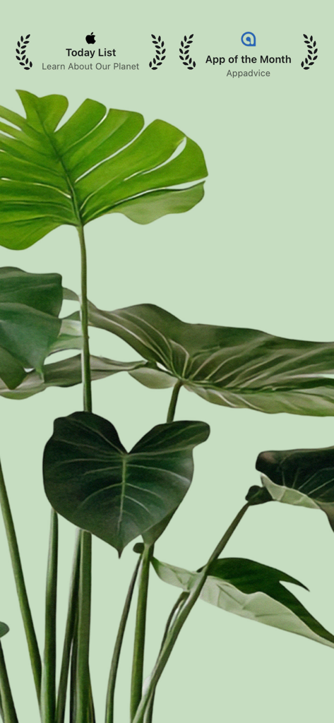 Insecta - Bug Identifier - Insecta Bug Identifier app awards from Apple and Appadvice displayed on a green plant background