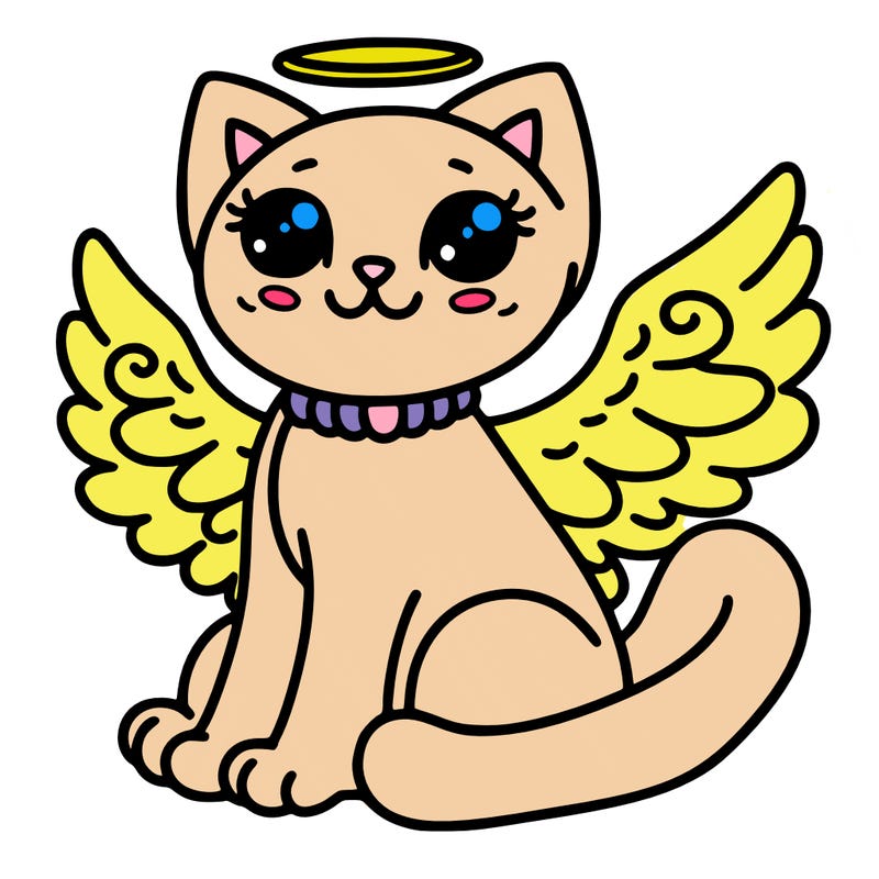 angel cat