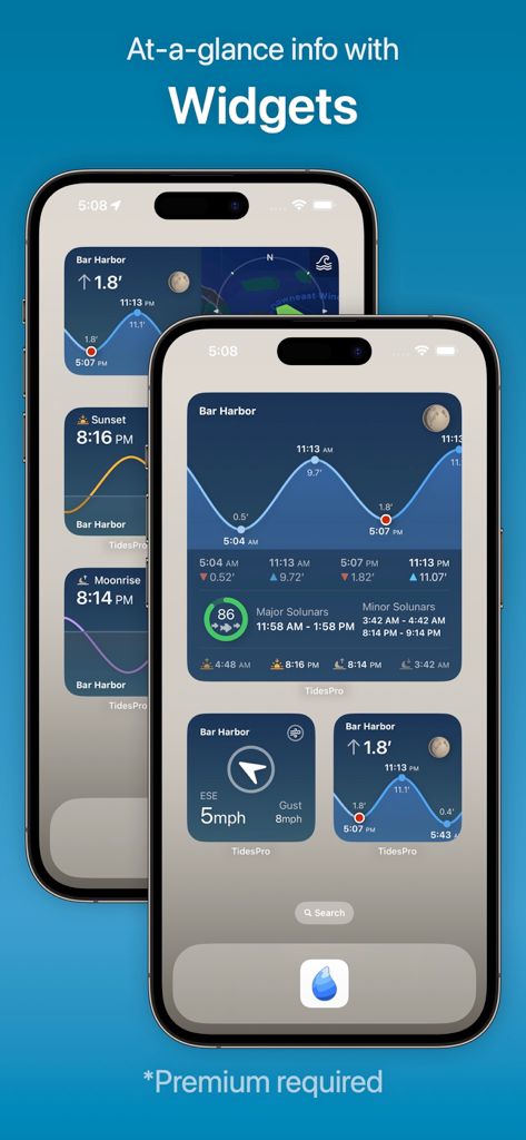 TidesPro: Tide Charts & Tables - iPhone home screen displaying TidesPro widgets for tide charts, solunar fishing periods, and wind conditions.