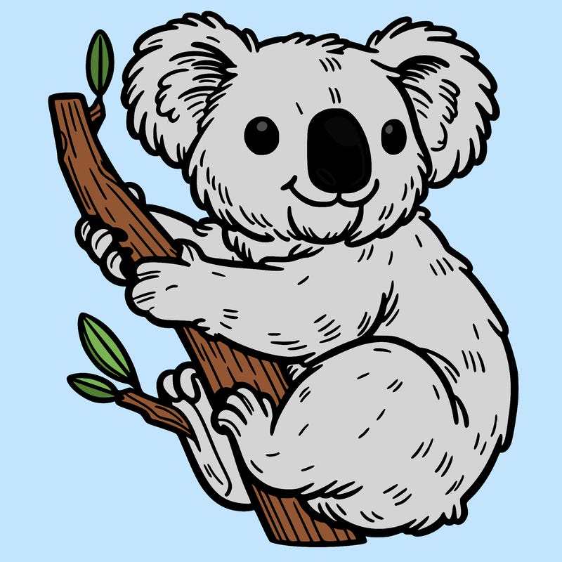 koala