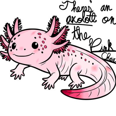axolotl