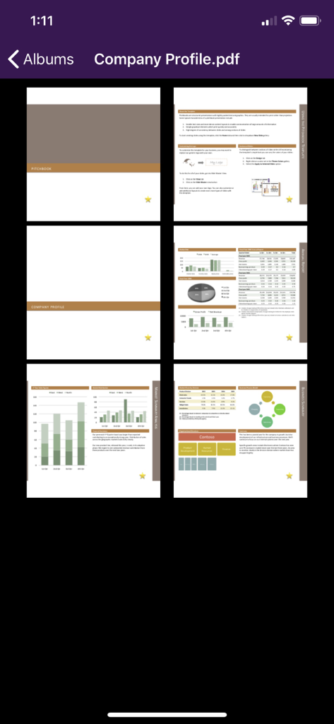 Air Projector - Grid view of business PDF slides in the Air Projector app on an iPhone