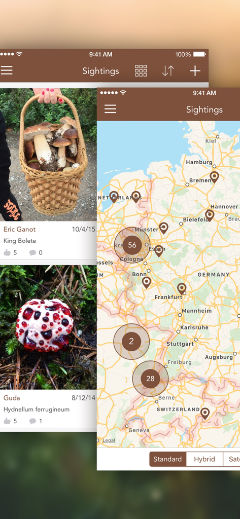 Mushrooms PRO - Hunting Safe - ユーザーの発見フィードと採集場所の地図を表示するMushrooms PROアプリインターフェース