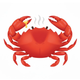 Boil Buddy: Seafood Calculator