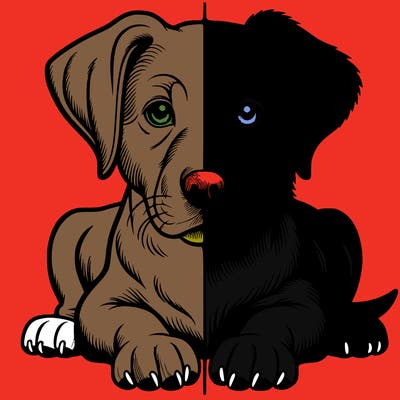 realistic dog split picture