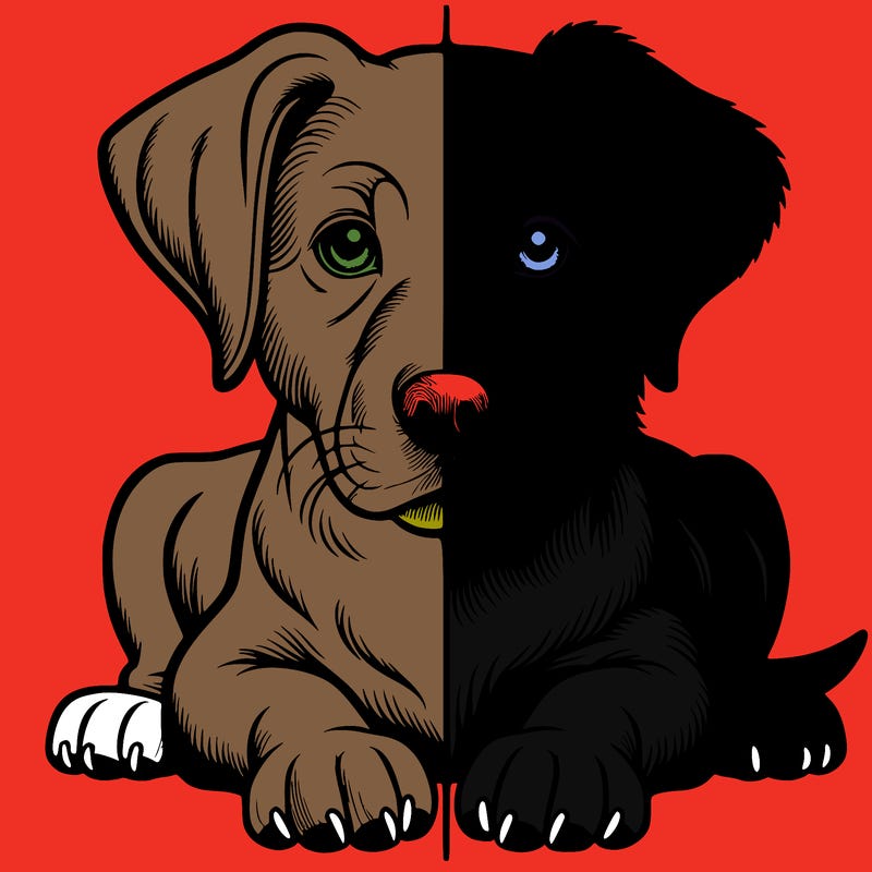 realistic dog split picture