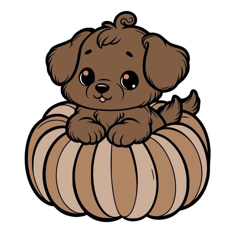 cute little puppy in a pumpkin