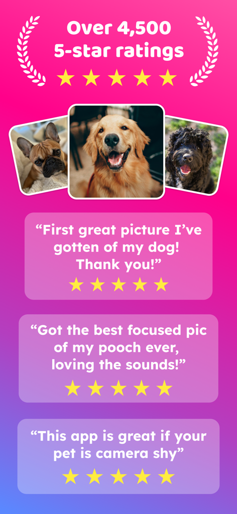 Dog & Pet Translator: DogCam - DogCam App Promotion-Bildschirm, der über 4500 Fünf-Sterne-Bewertungen und positive Nutzerrezensionen mit Fotos von glücklichen Hunden zeigt