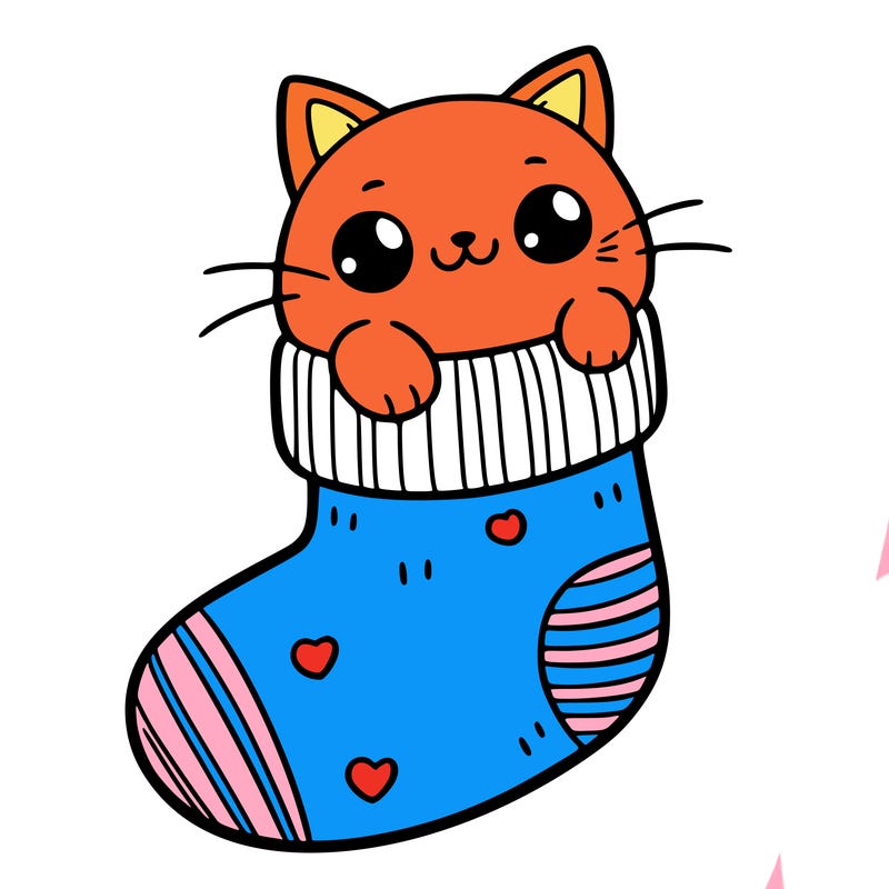 cute cat in a sock